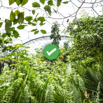 Rainforest Biome with overlaid tick